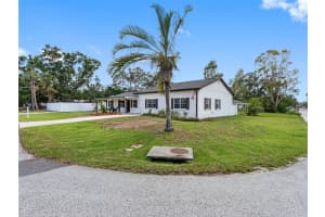 4401 TRASK STREET, TAMPA, FL 33611 - MLS#MFRTB8398641