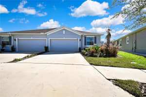 31105 MANGO FADE WAY, SAN ANTONIO, FL 33576 - MLS#MFRTB8398645