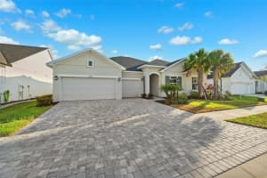 6035 NIKKI LANE, ODESSA, FL 33556 - MLS#MFRTB8398656