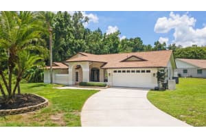 3509 COUNTRY CREEK LANE, VALRICO, FL 33596 - MLS#MFRTB8398665