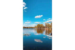 20111 COUNTY LINE ROAD, LUTZ, FL 33558 Sold 09/09/25