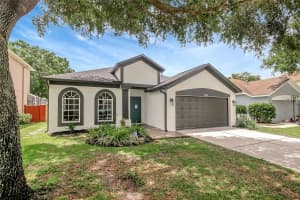 22824 MARSH WREN DRIVE, LAND O LAKES, FL 34639 - MLS#MFRTB8398715