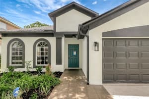 22824 MARSH WREN DRIVE, LAND O LAKES, FL 34639 - MLS#MFRTB8398715