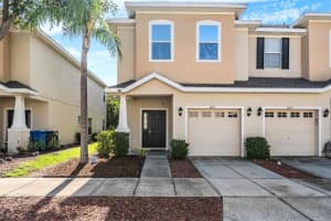 1031 Andrew Aviles Cir, TAMPA