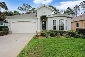 11220 PARADISE POINTE WAY, NEW PORT RICHEY, FL 34654 - MLS#MFRTB8398756