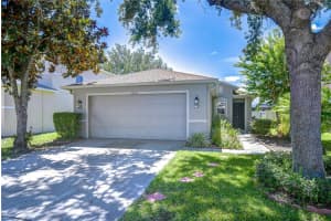 19555 TIMBERBLUFF DRIVE, LAND O LAKES, FL 34638 Sold 07/30/25