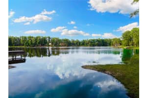 3663 BERGER ROAD, LUTZ, FL 33548 - MLS#MFRTB8398792