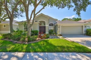 8213 Swann Hollow Dr, TAMPA
