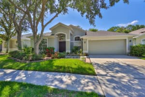 8213 SWANN HOLLOW DRIVE, TAMPA, FL 33647 - MLS#MFRTB8398795