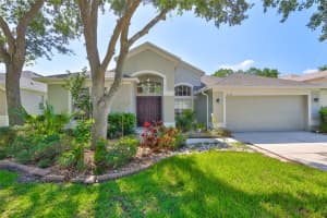 8213 SWANN HOLLOW DRIVE, TAMPA, FL 33647 - MLS#MFRTB8398795
