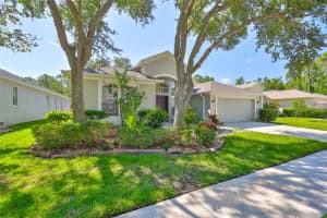 8213 SWANN HOLLOW DRIVE, TAMPA, FL 33647 - MLS#MFRTB8398795