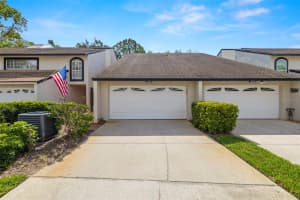 4213 Arborwood Ln, TAMPA