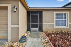 14003 JACOBSON DRIVE, ODESSA, FL 33556 - MLS#MFRTB8398896