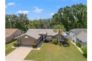 10032 BASIN STREET, NEW PORT RICHEY, FL 34655 Sold 07/30/25