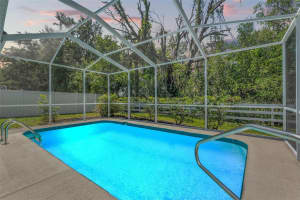 10032 BASIN STREET, NEW PORT RICHEY, FL 34655 Sold 07/30/25