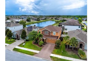 1601 Fox Grape Loop, LUTZ