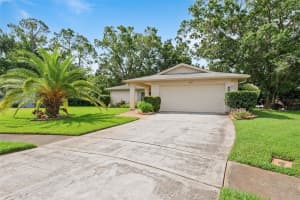 2875 Lomond Dr, PALM HARBOR