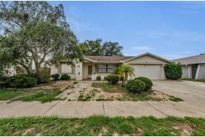 4143 GRAY SQUIRREL LANE, NEW PORT RICHEY, FL 34653 Sold 07/28/25