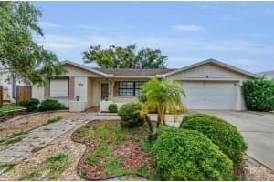 4143 GRAY SQUIRREL LANE, NEW PORT RICHEY, FL 34653 Sold 07/28/25