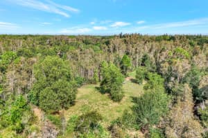 41601 LITTLE FARM ROAD, PUNTA GORDA, FL 33982 - MLS#MFRTB8398978