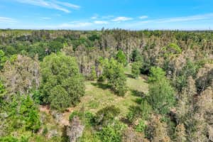 41601 LITTLE FARM ROAD, PUNTA GORDA, FL 33982 - MLS#MFRTB8398978