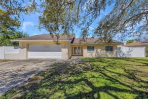 9455 LAURA ANNE DRIVE, SEMINOLE, FL 33776 - MLS#MFRTB8398982