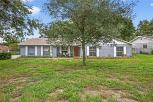 11001 Ridgedale Rd, TEMPLE TERRACE