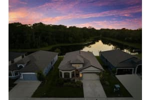11597 WEAVER HOLLOW ROAD, NEW PORT RICHEY, FL 34654 - MLS#MFRTB8399002