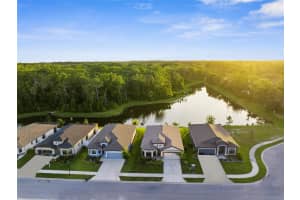11597 WEAVER HOLLOW ROAD, NEW PORT RICHEY, FL 34654 - MLS#MFRTB8399002