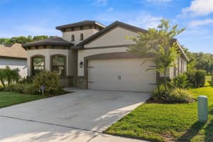 11597 WEAVER HOLLOW ROAD, NEW PORT RICHEY, FL 34654 - MLS#MFRTB8399002