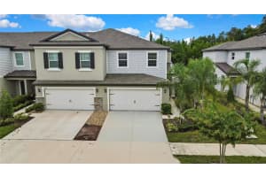 2155 Cerulean Sky Dr, LUTZ