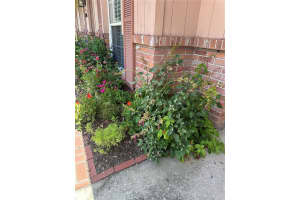 15316 WINDING CREEK DRIVE, TAMPA, FL 33613 Sold 08/08/25