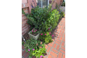 15316 WINDING CREEK DRIVE, TAMPA, FL 33613 Sold 08/08/25