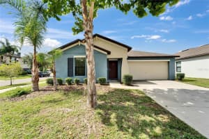 10119 ROSE PETAL PLACE, RIVERVIEW, FL 33578 - MLS#MFRTB8399057