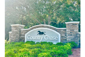 12249 COUNTRY WHITE CIRCLE, TAMPA, FL 33635 - MLS#MFRTB8399080