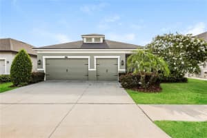 13408 Nimble Minke #155e, RIVERVIEW
