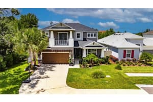 10399 Boyette Brook St, RIVERVIEW