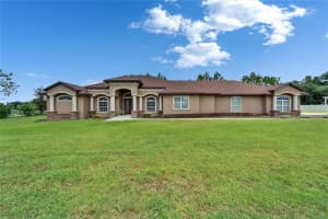 13102 DONE GROVEN DRIVE, DOVER, FL 33527 - MLS#MFRTB8399133