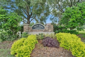 13102 DONE GROVEN DRIVE, DOVER, FL 33527 - MLS#MFRTB8399133