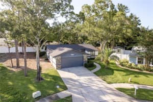 399 WALNUT COURT, PALM HARBOR, FL 34683 Sold 08/07/25