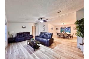 5790 CHERRY TREE DRIVE, LAKELAND, FL 33811 - MLS#MFRTB8399163