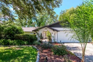23924 FOREST PLACE, LAND O LAKES, FL 34639 - MLS#MFRTB8399169