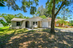 16138 Manorwood Cir, TAMPA