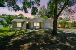 16138 MANORWOOD CIRCLE, TAMPA, FL 33624 - MLS#MFRTB8399177