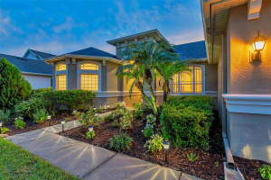 31646 BAYMONT LOOP, WESLEY CHAPEL, FL 33543 - MLS#MFRTB8399194