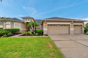 31646 BAYMONT LOOP, WESLEY CHAPEL, FL 33543 - MLS#MFRTB8399194