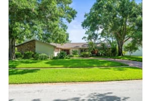 4209 Winding Willow Dr, TAMPA