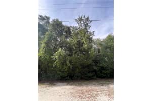 6263 MOVEN COURT, HOMOSASSA, FL 34446 - MLS#MFRTB8399271