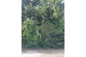 6263 MOVEN COURT, HOMOSASSA, FL 34446 - MLS#MFRTB8399271