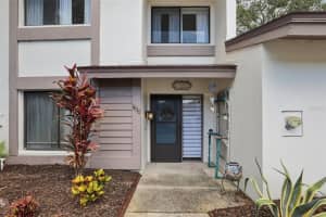 1830 CYPRESS TRACE DRIVE, SAFETY HARBOR, FL 34695 - MLS#MFRTB8399334